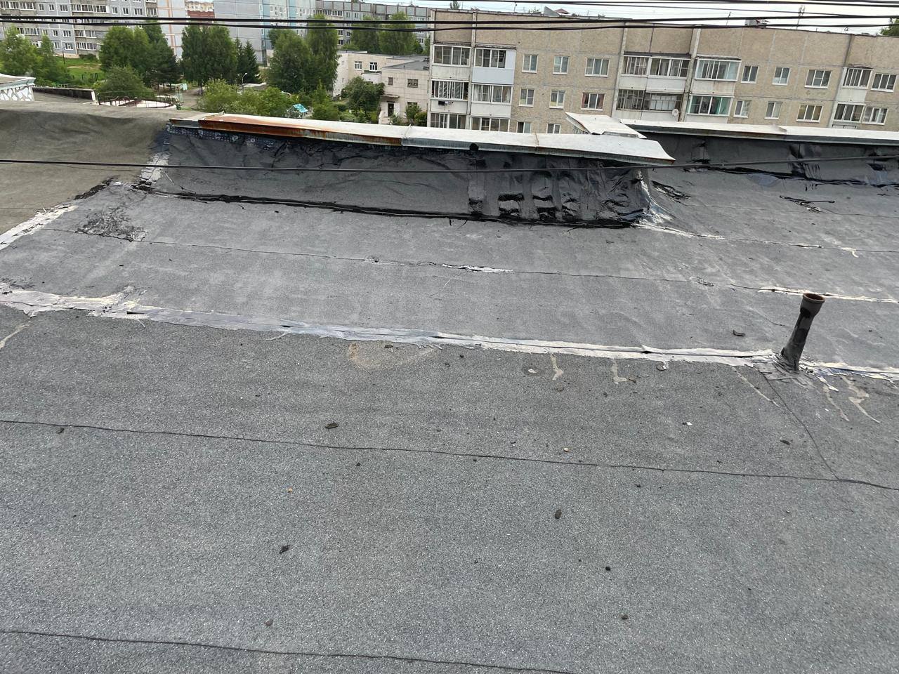 5413821923630126453 (1).jpg