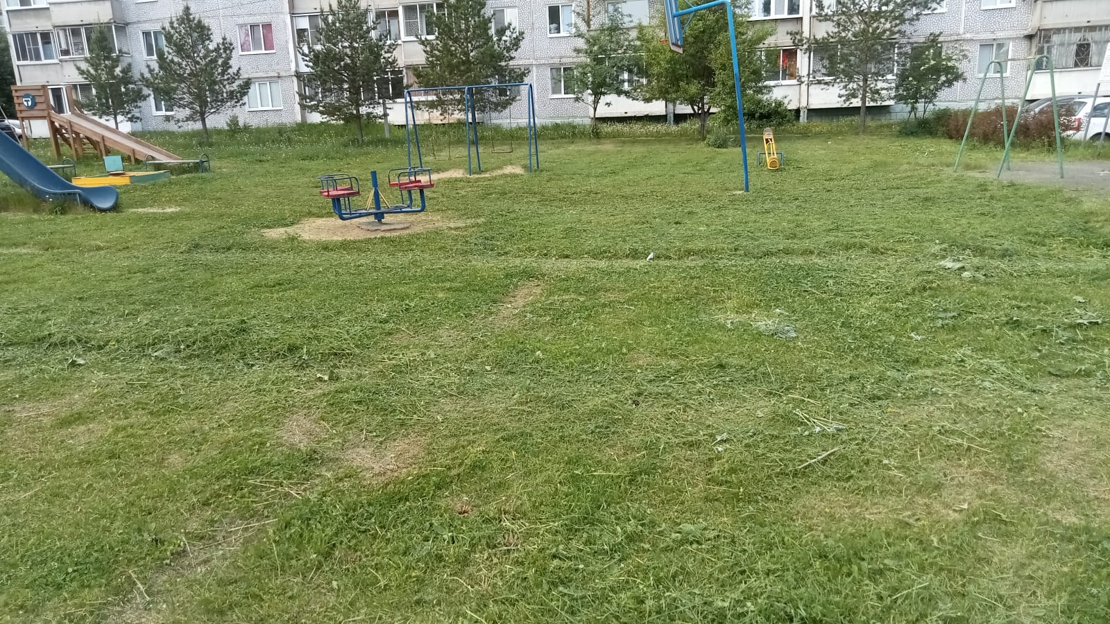 WhatsApp Image 2025-06-04 at 20.24.31.jpeg