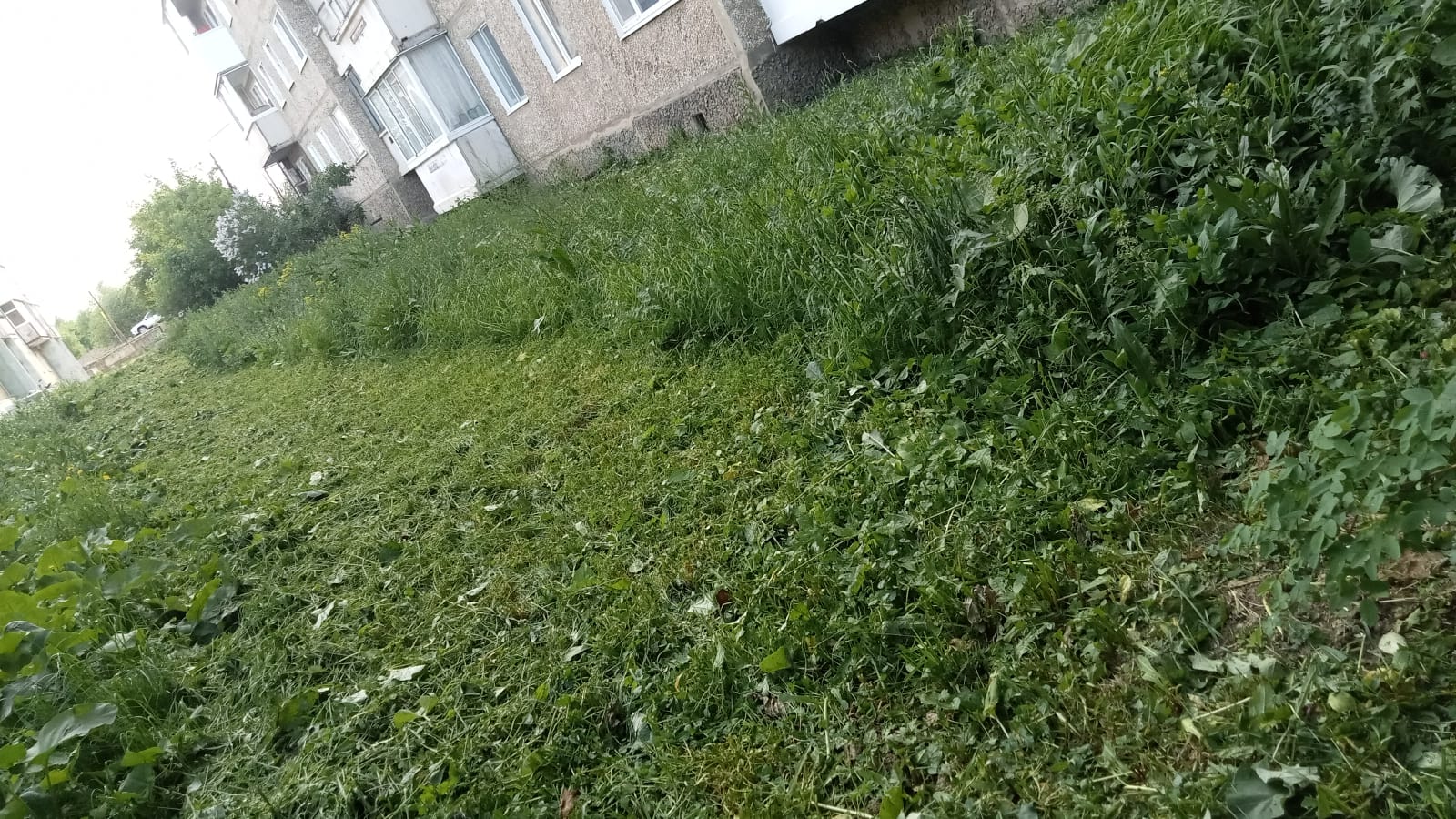 WhatsApp Image 2025-06-03 at 10.07.59.jpeg
